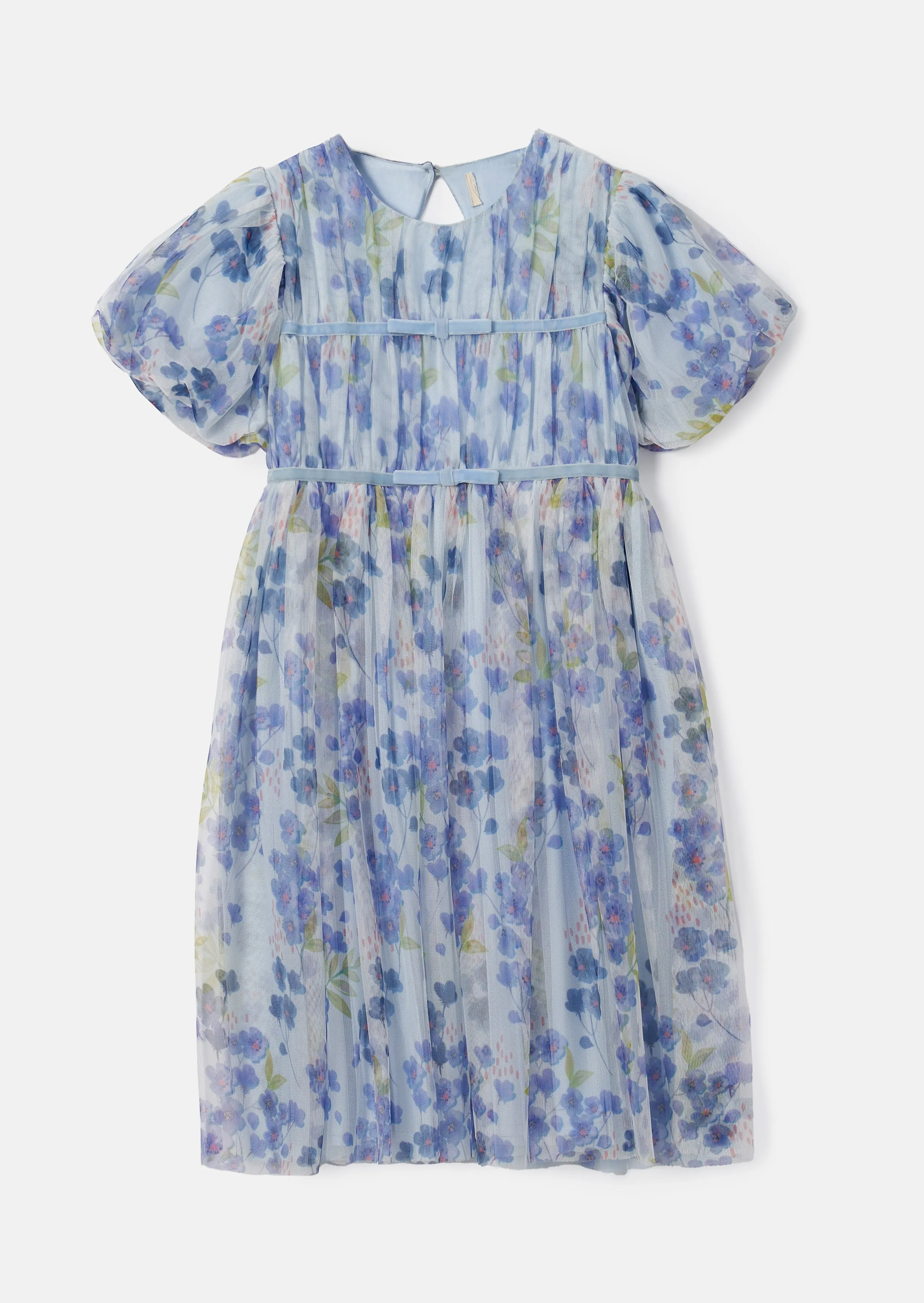 Mina Blue Printed Mesh Dress