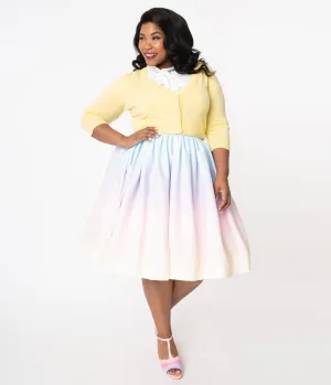 Plus Size 1950s Style Pastel Rainbow Ombre Swing Skirt